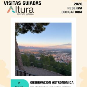 Observación astronómica