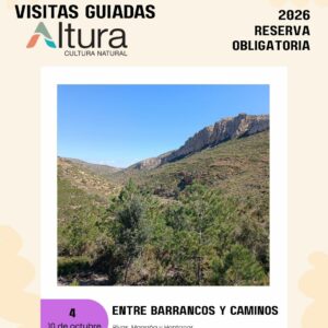 Entre barrancos y caminos