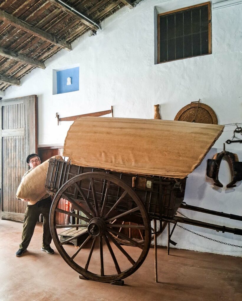 Museo del Aceite de Altura