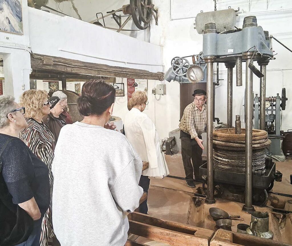 Museo del Aceite de Altura
